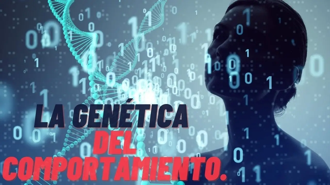 Genes, personalidad e IA